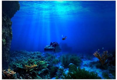 Dailygoods- PVC-poster waterdicht - aquarium achtergrond - zelfklevend - 61 * 30 cm - vochtbestendig - eenvoudig aan te brengen - Aquariumachtergrond
