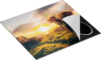 Chefcare Inductie Beschermer Olifant in het Wild bij Zonsondergang - 60x50 cm - Afdekplaat Inductie - Kookplaat Beschermer - Inductie Mat