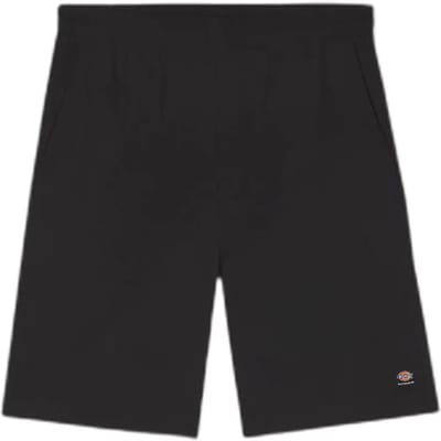 Cargo shorts Dickies Jackson