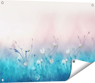 Gards Tuinposter Witte Bloemen op een Blauw Achtergrond - 80x60 cm - Tuindoek - Tuindecoratie - Wanddecoratie buiten - Tuinschilderij