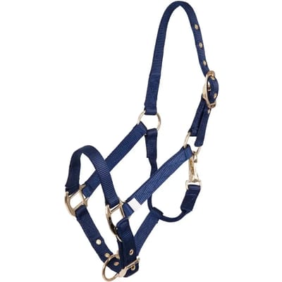 Verstelbaar nylon/messing halster voor veulens BR Equitation