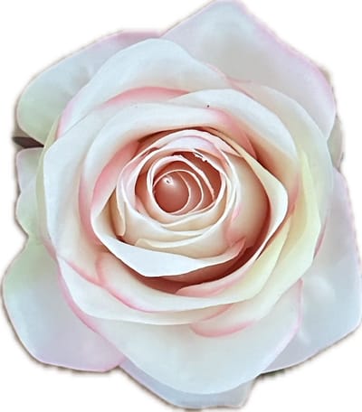AMALIA POEDER PERZIK KUNSTROZEN - Rozenkoppen 12 stuks - Mooie Kwaliteit Kunstbloemen - Nepbloemen - Rozen zonder Steltjes - Kunstbloemen voor Decoraties/ Versieringen - DIY Bloemen - Rozen voor de Bloemenmuur