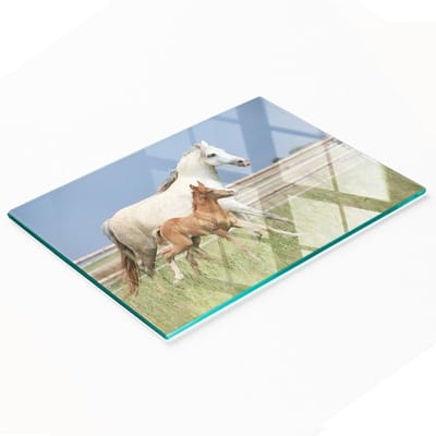 Decoratieve glazen keukensnijplank met afbeelding van een merrie met veulen, 80x52 cm