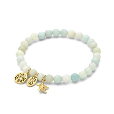CO88 collection - 8CB-90974 - Dames Armband Amazoniet Bedels - Stainless Steel Cadeau