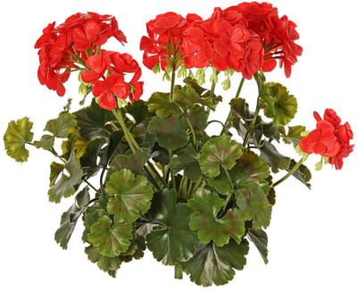 Topart Kunstbloemen boeketje - Franse geranium - rood - UV bestendig - D30 cm x H39 cm