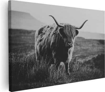 Artaza Canvas Schilderij Hooglander - 30x20 cm - Klein - Muurdecoratie Dierenkop - Wanddecoratie Woonkamer - Kamer Accessoires