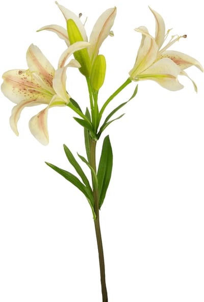 Easyplants | Kunstbloem Aziatische Lelie 66 cm roze | Zijde | Nepbloemen | roze | Onderhoudsvrij | Kant-en-klaar