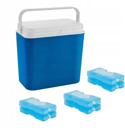 POTZ Cooler Box, Blue, Portable, with Removable Lid and Handle, Lightweight and Durable, Includes 6 Ice Packs, Ideal for Picnic, Camping, Beach – 24L
