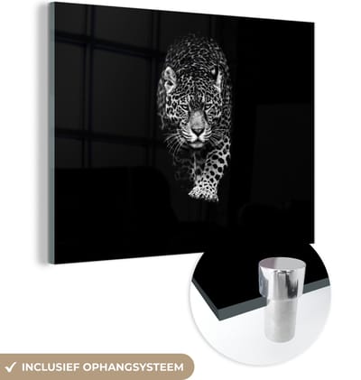 Glasschilderij - Panter - Portret - Zwart wit - Wilde dieren - Glasplaat - Foto op glas - Glasschilderijen woonkamer - Schilderij op glas - 160x120 cm - Muurdecoratie - Wanddecoratie - Slaapkamer - Kamer decoratie