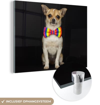 MuchoWow® Glasschilderij 160x120 cm - Schilderij acrylglas - Hond - Strik - Zwart - Foto op glas - Schilderijen