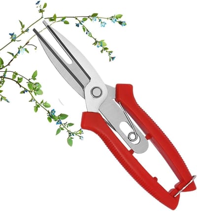 Roestvrijstalen Snoeischaar - Tuinschaar Knipper - Takken Snoeien - Drukverdelend Comfort - 1 Count - Fruitplukschaar