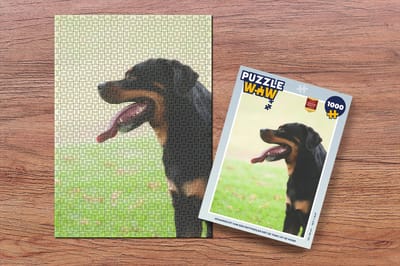 Puzzel Zijaanzicht van een Rottweiler met de tong uit de mond - Legpuzzel - Puzzel 1000 stukjes volwassenen