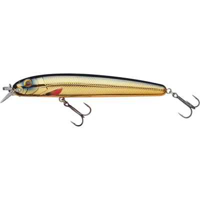 Lok Abu Garcia Beast Hi-Lo