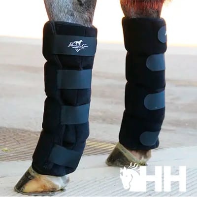Frontale gesloten paardenlaarzen Professional's Choice