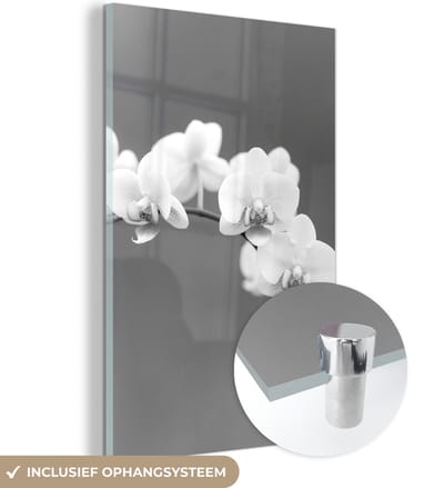 MuchoWow® Glasschilderij 120x180 cm - Schilderij acrylglas - Orchidee - Bloemen - Plant - Wit - Paars - Foto op glas - Schilderijen