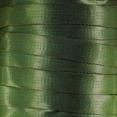 Nylon Singelband - Buisvormig Band - Klimmen Vastzetten - Hoge Breuksterkte - 30 Meter - Kiwi