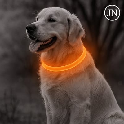 LED Halsband Hond – USB-C Oplaadbaar – 70 cm – Oranje – Lichtgevend – Veilig in het Donker – Verstelbaar