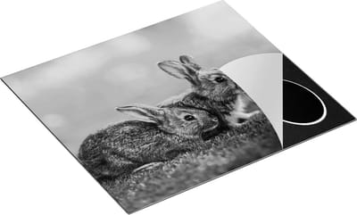 Chefcare Inductie Beschermer Twee Konijnen op het Groene Gras - Zwart Wit - 60x50 cm - Afdekplaat Inductie - Kookplaat Beschermer - Inductie Mat