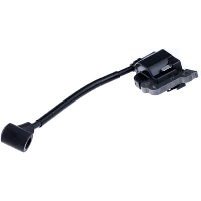Ignition module