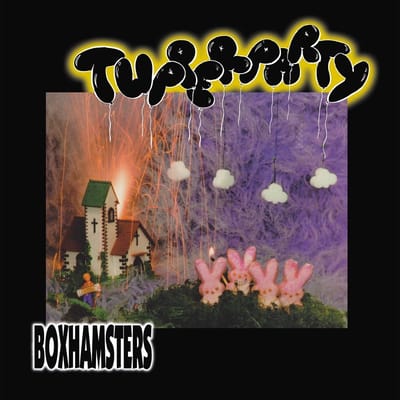 Boxhamsters - Tupperparty (LP)