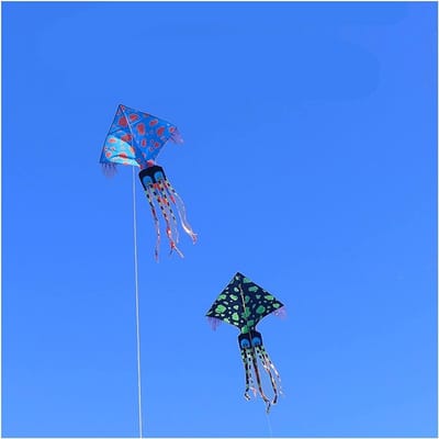 Grote Vlieger - Uniek Patroon - Buiten Spelen - Duurzaam Materiaal - 200 x 400 cm - Gevlekte Octopus