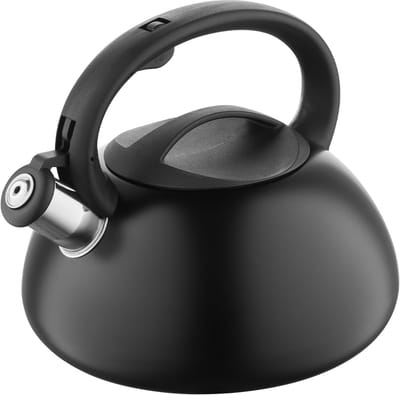 Waterkoker - Theeketel Fluitketel - Water Koken - Roestvrij Staal - 25 Liter - Zwart