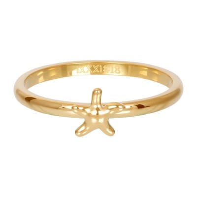Symbol sea star - iXXXi - Vulring 2 mm