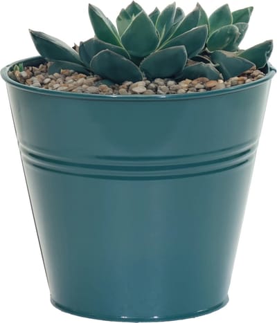 Mega Collections plantenpot/bloempot Bob - zink - zeegroen - D13 X H12 cm