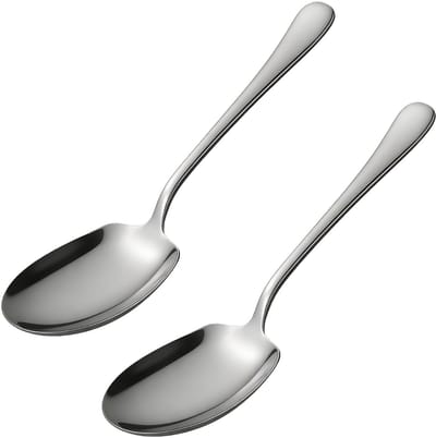 Dailygoods- Opscheplepel Set van 2 - Roestvrij Staal - 25 cm Grote Kooklepel - Lange Handgrepen - Voedselveilig - Duurzaam Materiaal - Serveerlepel