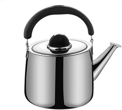 Waterkoker Theepot - Fluitketel - Water Koken - Roestvrij Staal - 8 Liter - Zilver