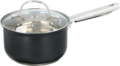 Steelpan met deksel - RVS - 1,5 l - voor alle warmtebronnen