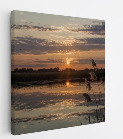 Saammp - Canvas Schilderij -Landschap - Zonsondergang - Planten - 20x20 - Foto op canvas - Wanddecoratie - muurdecoratie Woonkamer - Slaapkamer decoratie - Canvas Print