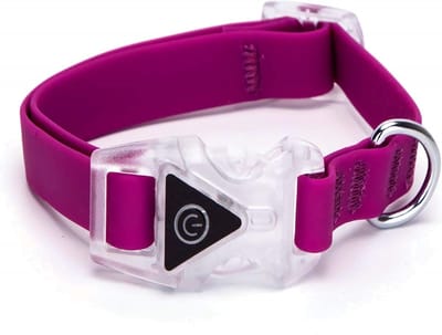 Nobleza Verlichte halsband voor kleine hond - Verstelbaar 25 / 40 cm - Hondenhalsband lichtgevend - Veiligheidshalsband hond - Paars - Maat S -