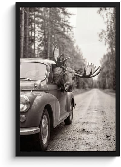 Poster in lijst - Fotolijst 40x60 cm - Posters - Eland - Auto - Gewei - Zwart - Wit - Posterlijst zwart - Decoratie - Wanddecoratie woonkamer - Muurdecoratie slaapkamer