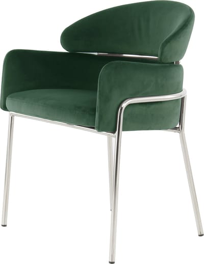 Floraya - Eetkamerstoel Elva - Groen/Zilver - 57x58x79cm (LxBxH) - Maximaal draagvermogen 120KG