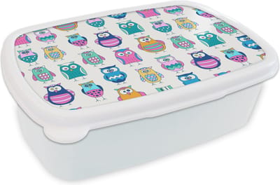 Broodtrommel Wit - Lunchbox - Brooddoos - Regenboog - Uil - Cartoon - 18x12x6 cm - Volwassenen