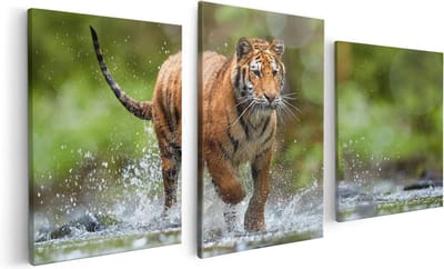 Artaza Canvas Schilderij Drieluik Tijger Loopt In Het Water - 120x60 - Foto Op Canvas - Canvas Print