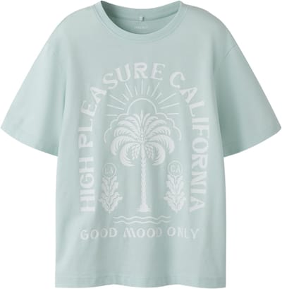 NAME IT - NKMPJARVU SS NREG TOP BOX - Jongens - T-shirts