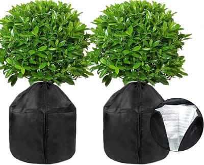 Thermal Plant Protection - 45 x 50 cm - Beschermende Zak - Winter Pot Bescherming - Vorstbescherming - Plantenpotten - Potten - Vocht