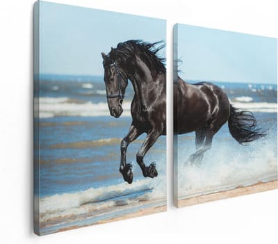 Artaza Canvas Schilderij Tweeluik Zwart Paard In Het Water - 120x80 - Foto Op Canvas - Canvas Print