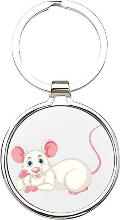 Akyol - Muizen Sleutelhanger - muis - dierenliefhebbers - knaagdier - huisdier - rat - hamster - witte muis - dieren sleutelhanger - cadeau voor dierenliefhebbers - mouse - knaagdieren - 4 x 7,5 CM