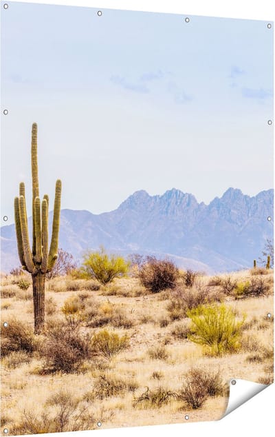 Gards Tuinposter Cactussen in de Woestijn - 120x160 cm - Tuindoek - Tuindecoratie - Wanddecoratie buiten - Tuinschilderij