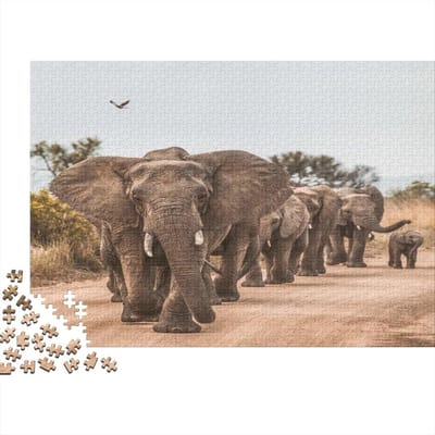 Houten Puzzel - Legpuzzel Spel - Ontspanning Thuis - Unieke Vorm Puzzelstukjes - 75 x 50 cm - Multicolor