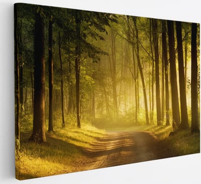 Saammp Canvas Schilderij - Weg door het bos - Bomen - Landschap - Natuur - 30x20 - Foto op canvas - Wanddecoratie - Muurdecoratie Woonkamer - Slaapkamer decoratie - Canvas Print