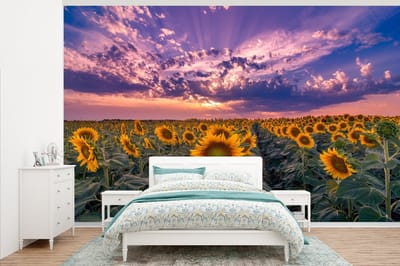 Behang - Fotobehang Bloemen - Lucht - Paars - Zonnebloem - Zonsondergang - Breedte 375 cm x hoogte 240 cm