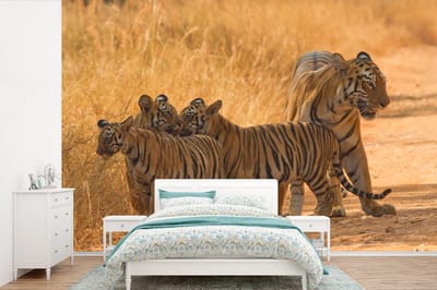 Behang - Fotobehang Tijger - Gras - Zand - Breedte 390 cm x hoogte 260 cm