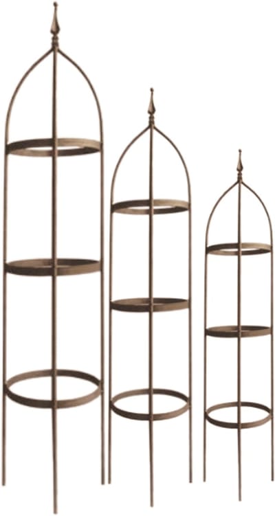 Deco4yourhome® - Plantenstandaards - Klimplantenrek - Plantenrek - set van 3 - Rusty