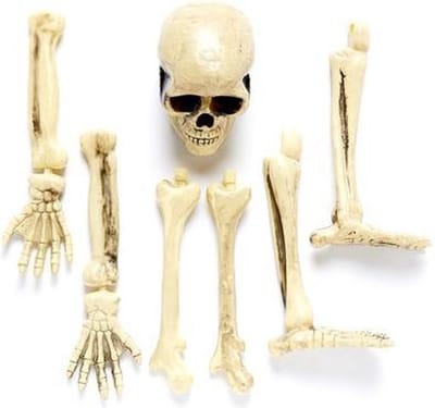 Complete horror tuin decoratie set kerkhof met botten/skelet - Halloween feest decoratie