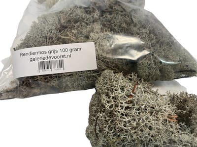 Rendiermos, mos grijs 100 gram. Geschikt voor decoraties, mosschilderijen, moswanden, bloemstukjes