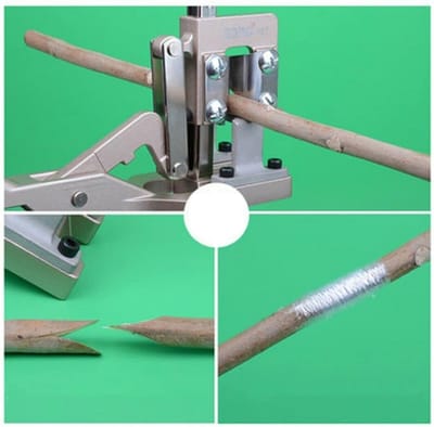 Entgereedschap - Fruitboom Schaar - Takken Verbinden - V-vormige Snede - 35cm Lengte